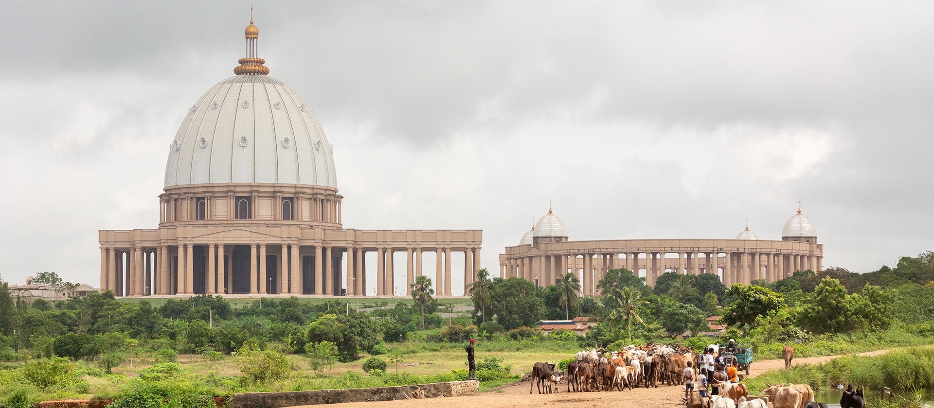 Aging well – New Italian Wineries